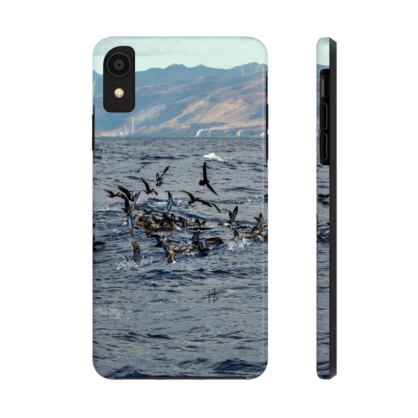 West Side Bird Pile Tough Phone Cases