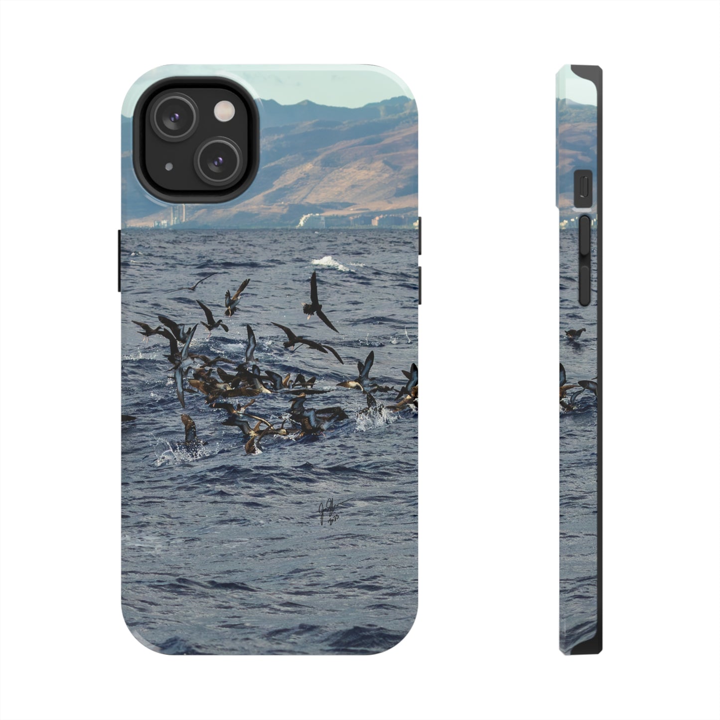 West Side Bird Pile Tough Phone Cases