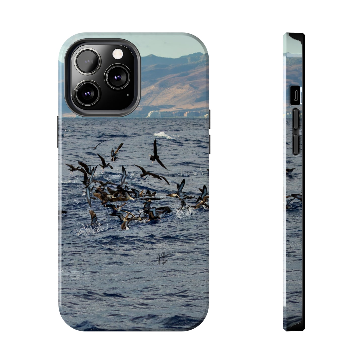 West Side Bird Pile Tough Phone Cases