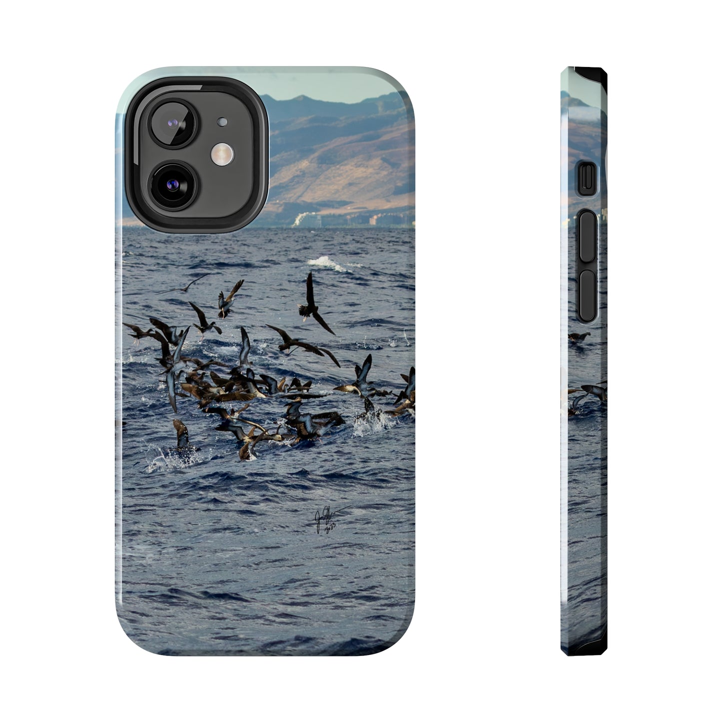 West Side Bird Pile Tough Phone Cases