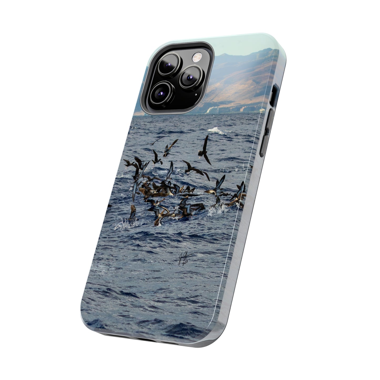 West Side Bird Pile Tough Phone Cases