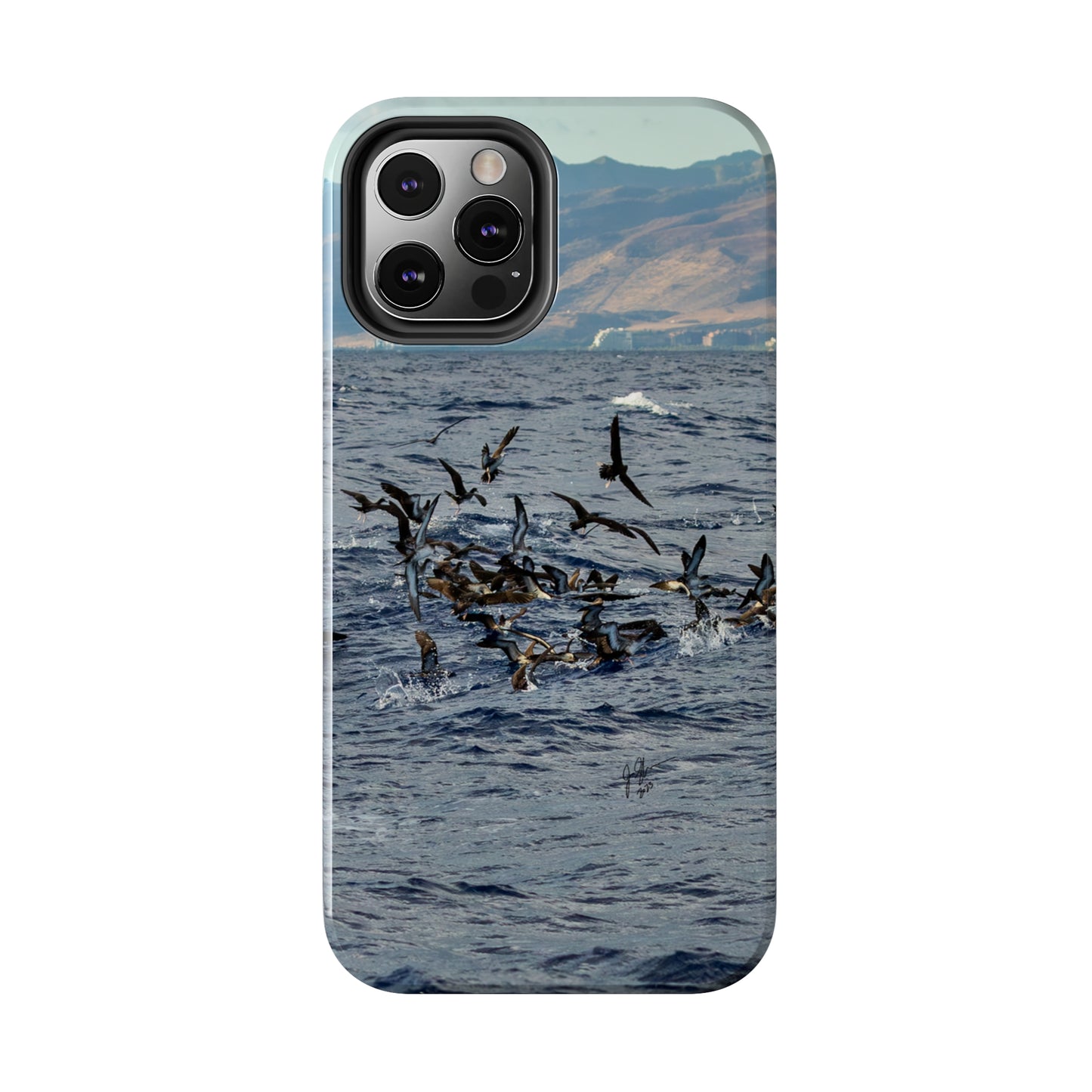 West Side Bird Pile Tough Phone Cases