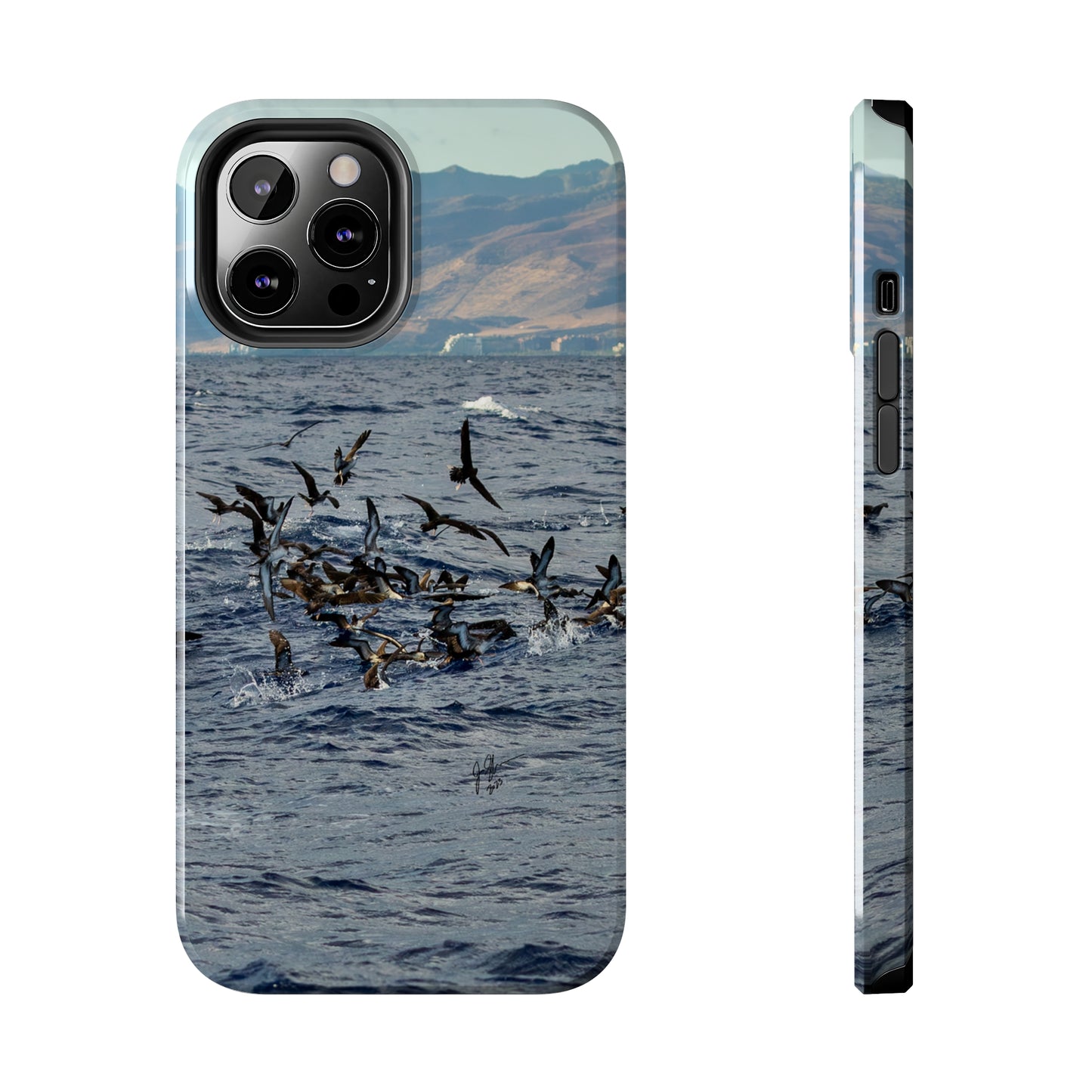 West Side Bird Pile Tough Phone Cases