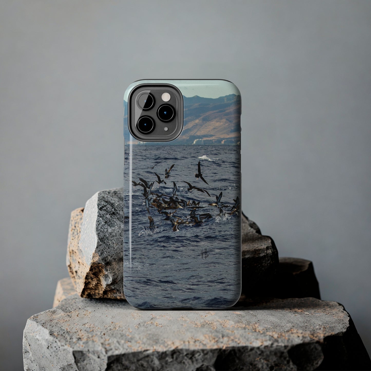 West Side Bird Pile Tough Phone Cases