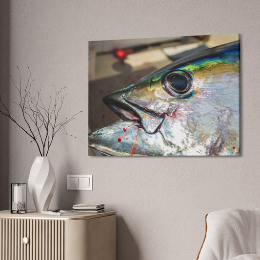 Ahi on Canvas Stretched, 1.5''