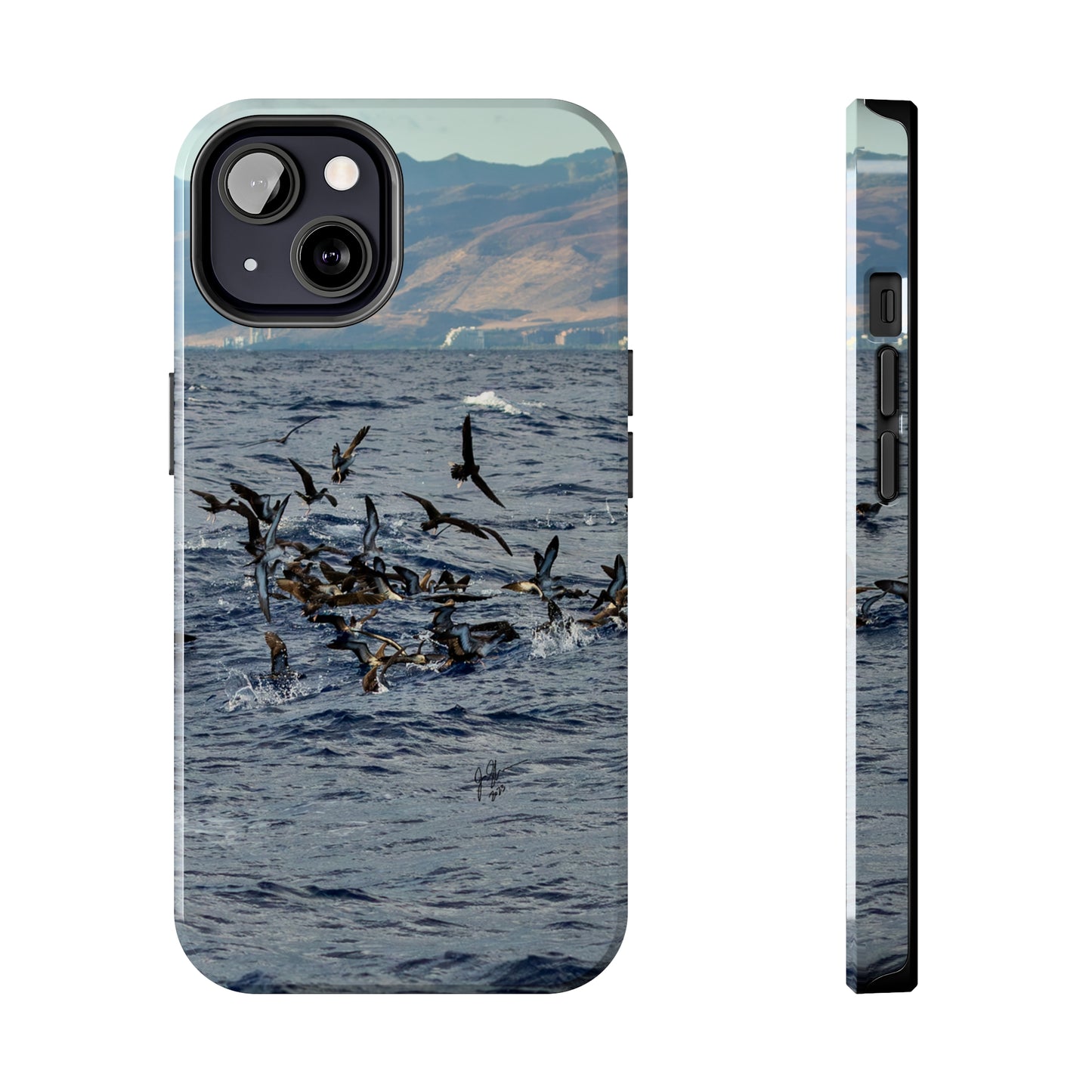 West Side Bird Pile Tough Phone Cases