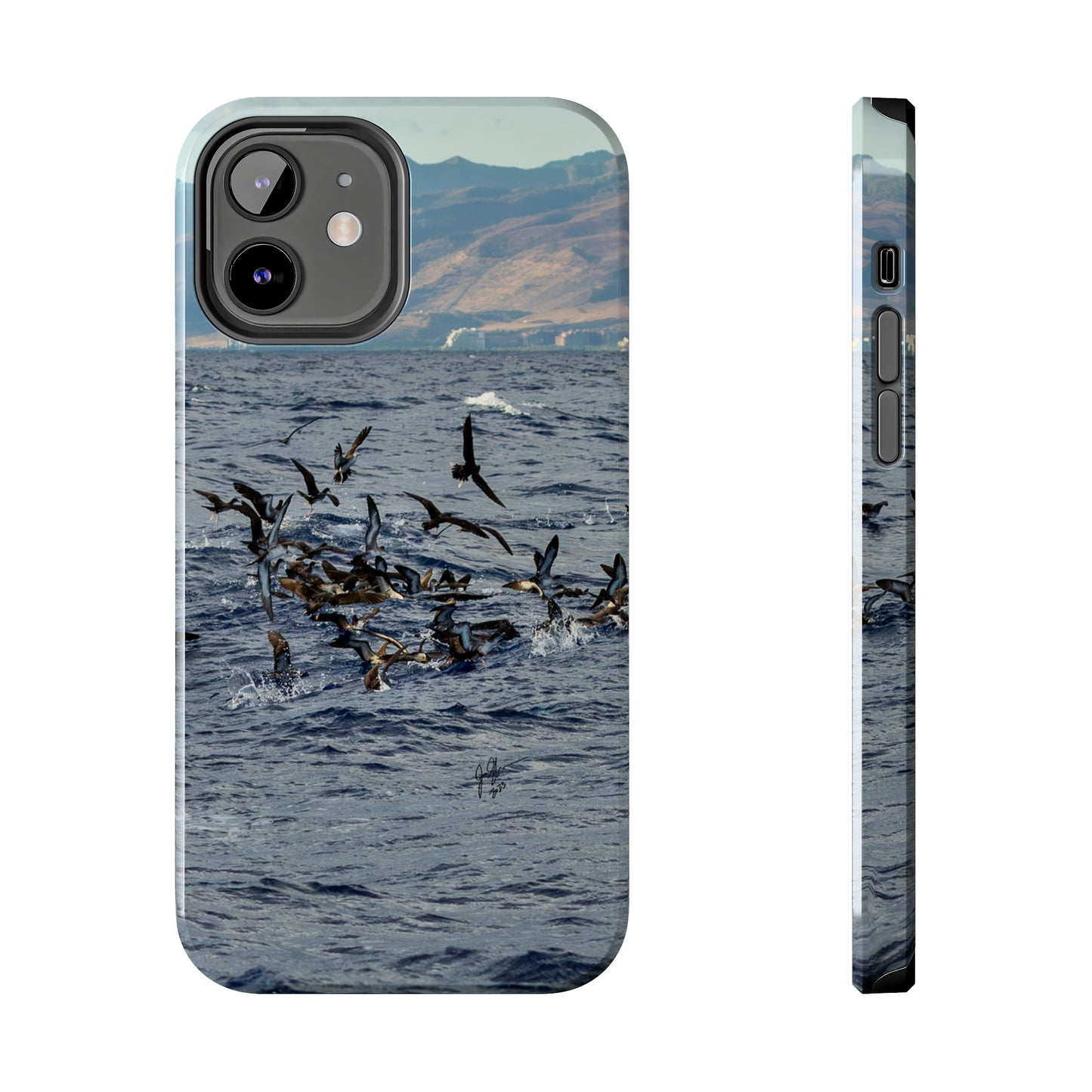 West Side Bird Pile Tough Phone Cases