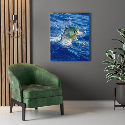 Mahi-mahi Hawaii Print