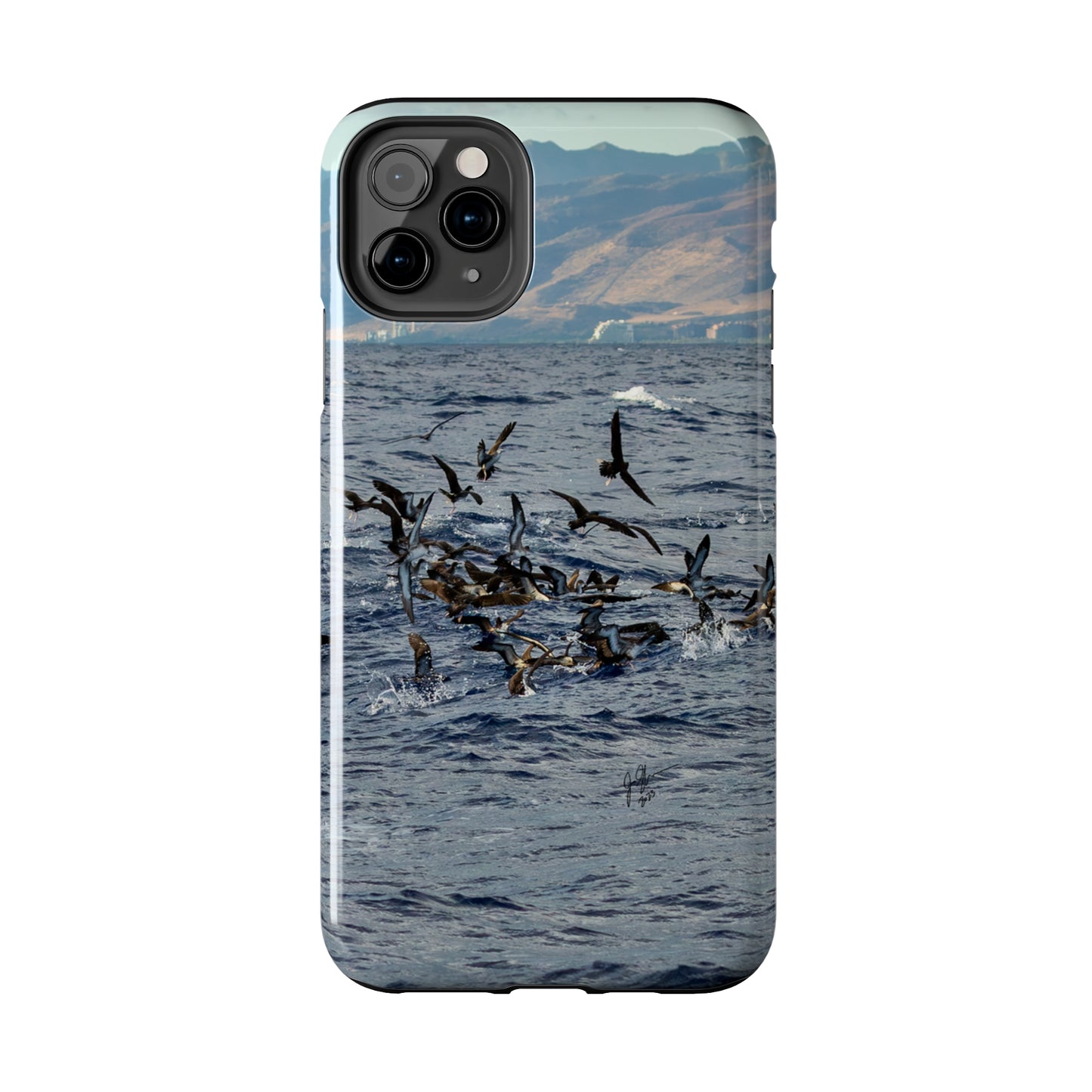 West Side Bird Pile Tough Phone Cases