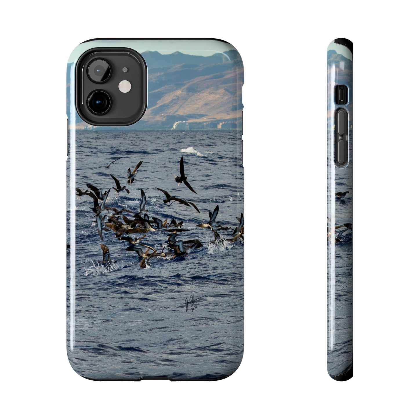 West Side Bird Pile Tough Phone Cases