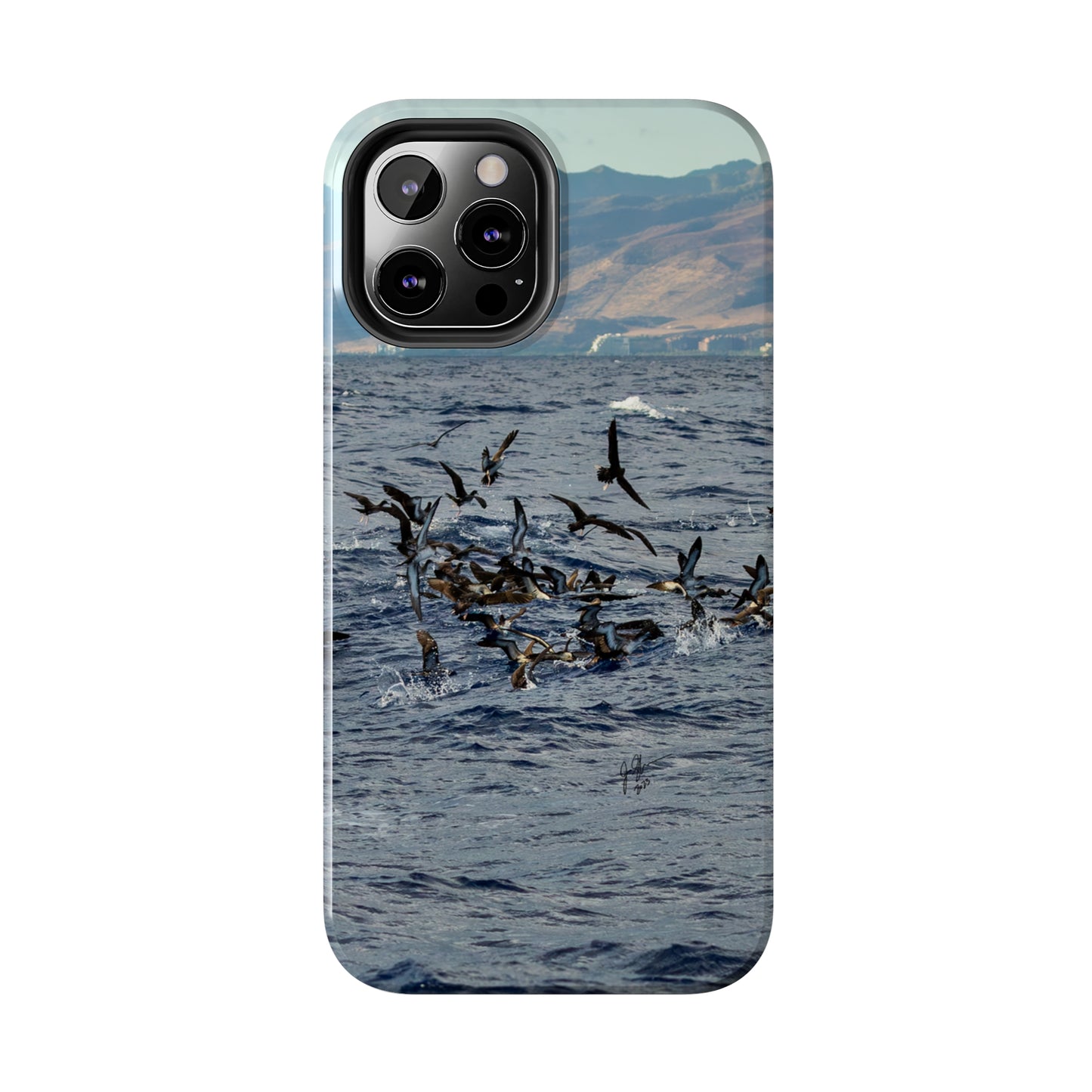 West Side Bird Pile Tough Phone Cases