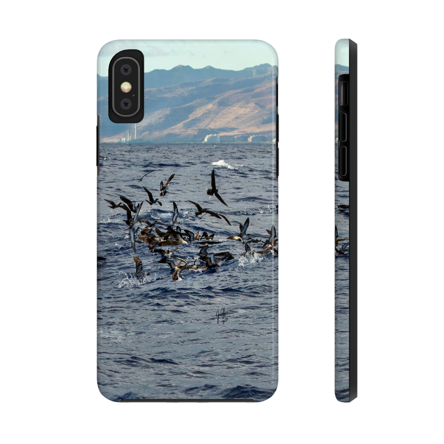 West Side Bird Pile Tough Phone Cases