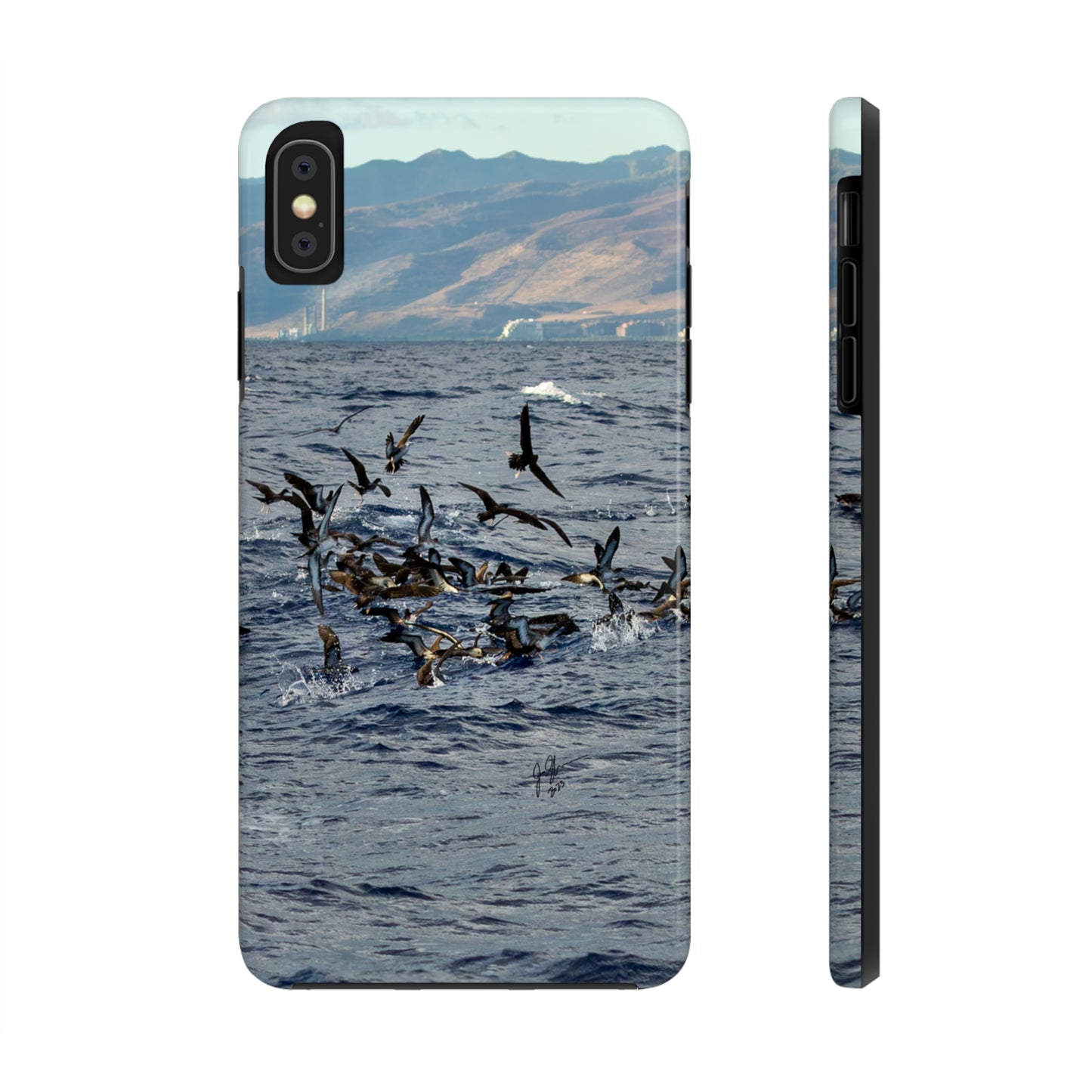 West Side Bird Pile Tough Phone Cases